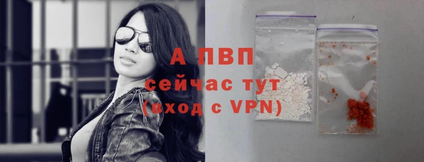 дживик Мегион