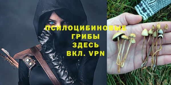 дживик Мегион