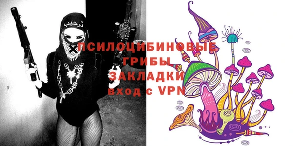 бошки Армянск